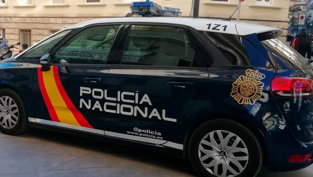 Coche patrulla de la Policía Nacional estacionado en una calle de Palma