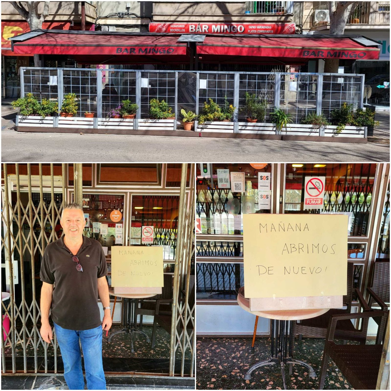 El Bar Mingo reabre sus puertas Digital Manacor