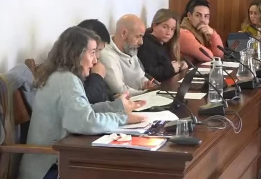 Reme Cañadas denuncia la situación sanitaria en el pleno de Son Servera