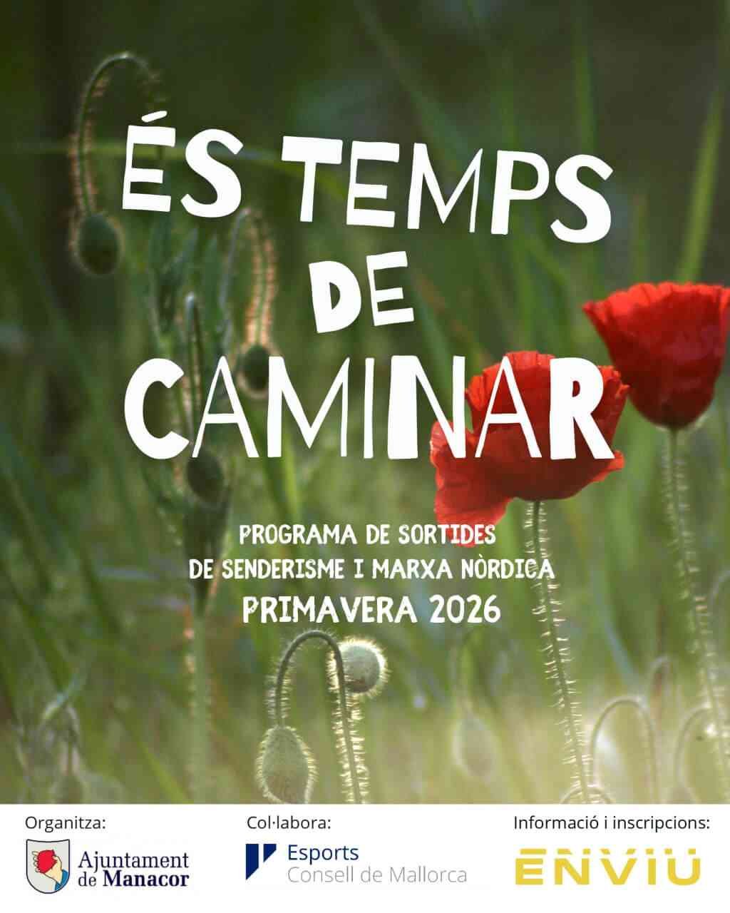 Cartel promocional 'És temps de caminar' del Ayuntamiento de Manacor con fondo de flores silvestres