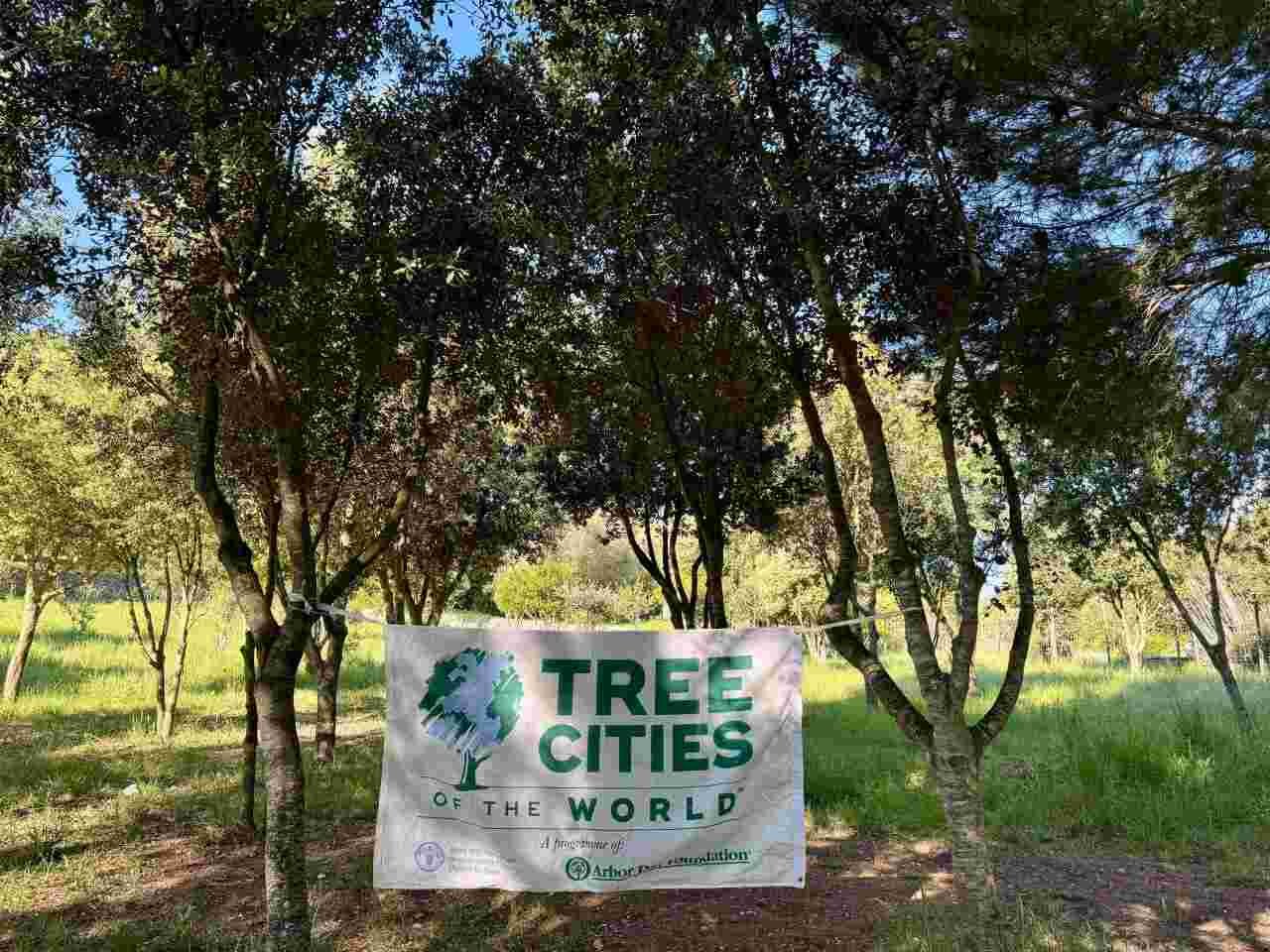Pancarta de Tree Cities of the World colgada entre árboles en una zona verde de Inca