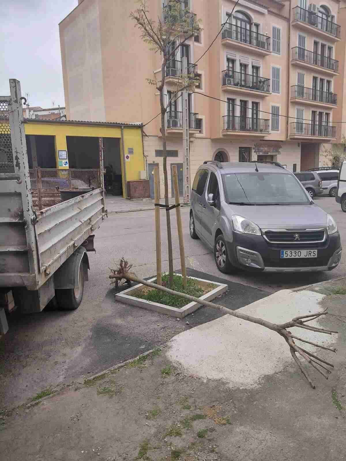 Calle en obras con un camión blanco al fondo, un árbol de gran tamaño arrancado y tumbado en el suelo sobre escombros, rodeado de vallas amarillas. No se observa personal de obra
