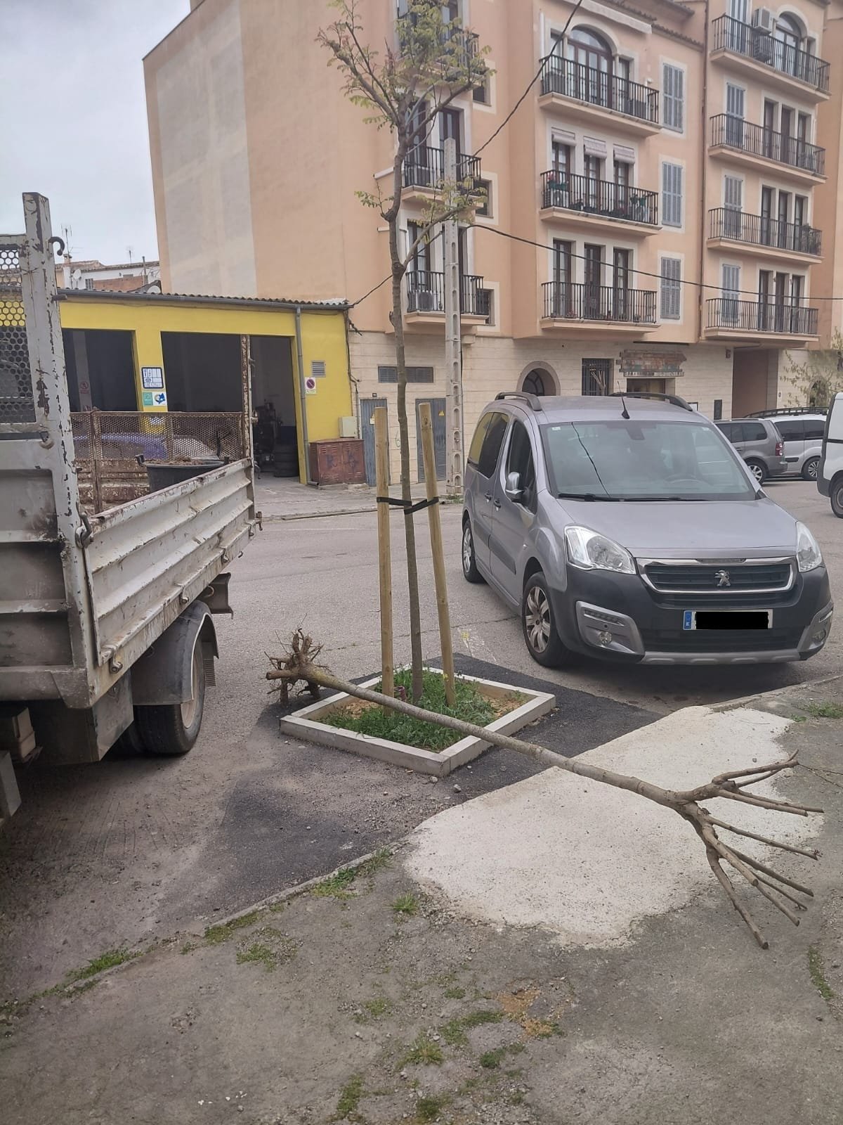 Calle en obras con un camión blanco al fondo, un árbol de gran tamaño arrancado y tumbado en el suelo sobre escombros, rodeado de vallas amarillas. No se observa personal de obra