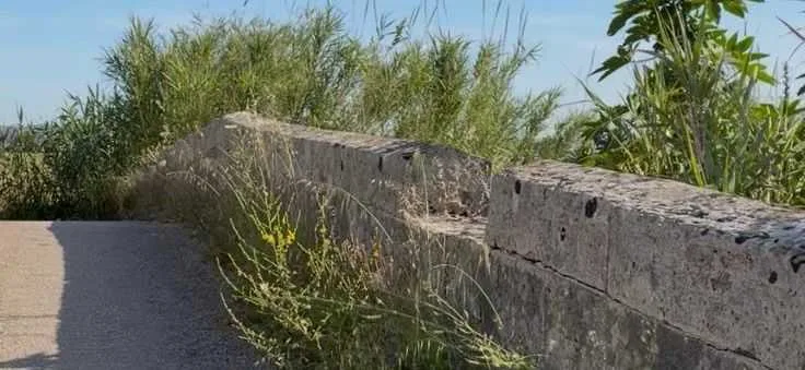 Primer plano de los muros de piedra erosionados del Pont de ses Jonqueres Veres en Sa Pobla con vegetación saliendo de las grietas