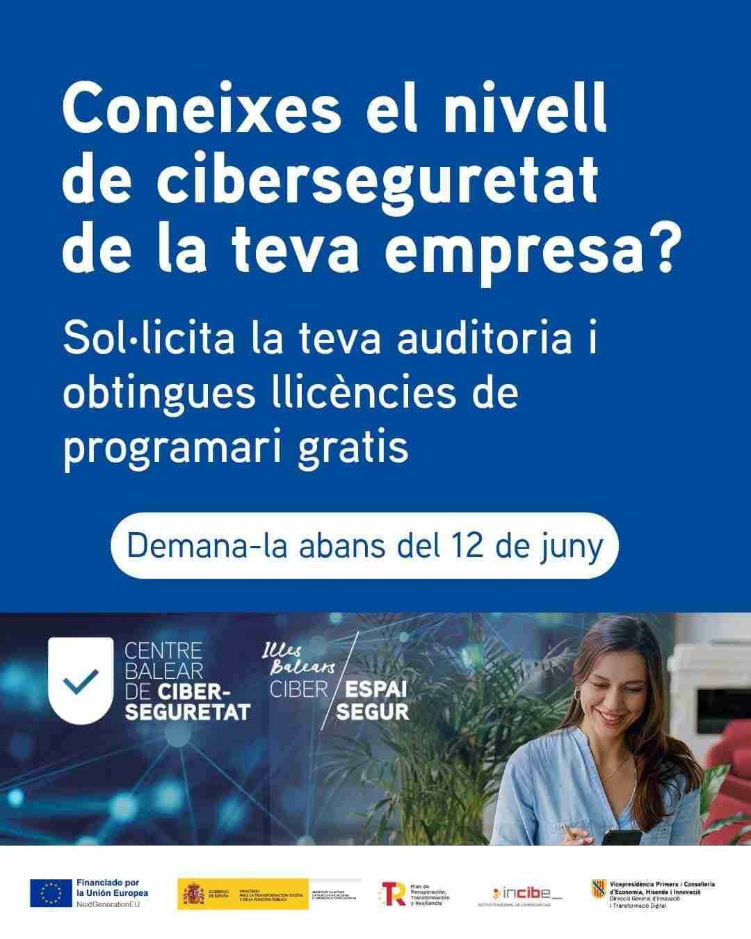 Infografía institucional en fondo azul del Centro Balear de Ciberseguridad detallando las ayudas en software informático para empresas