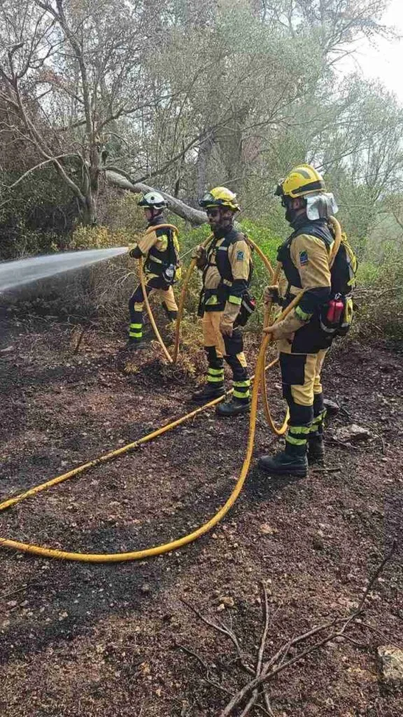 Tres bomberos forestales con cascos amarillos manguera en mano sofocando el terreno en Cala Murada
