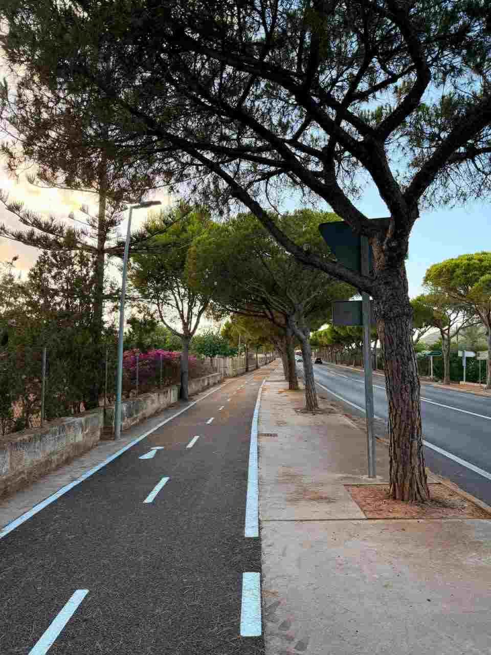Vista general del carril bici reformado entre Son Servera y Cala Millor con el asfalto nuevo y líneas blancas pintadas