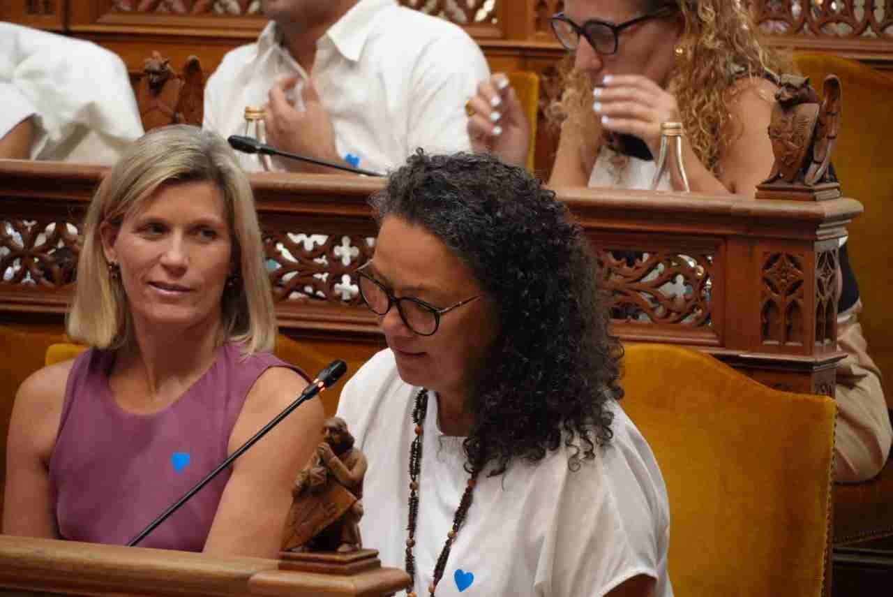 Catalina Cladera, portavoz socialista en el Consell de Mallorca, interviniendo en la sesión plenaria