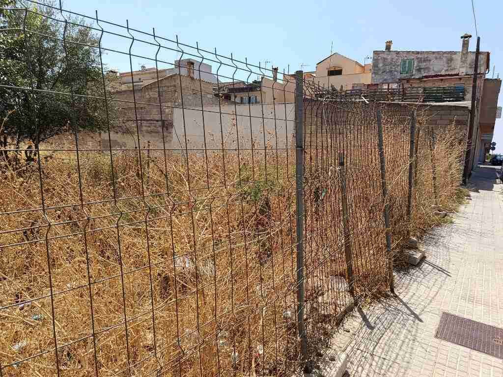Maleza seca y rastrojos acumulados en un solar vallado junto a la acera en Inca