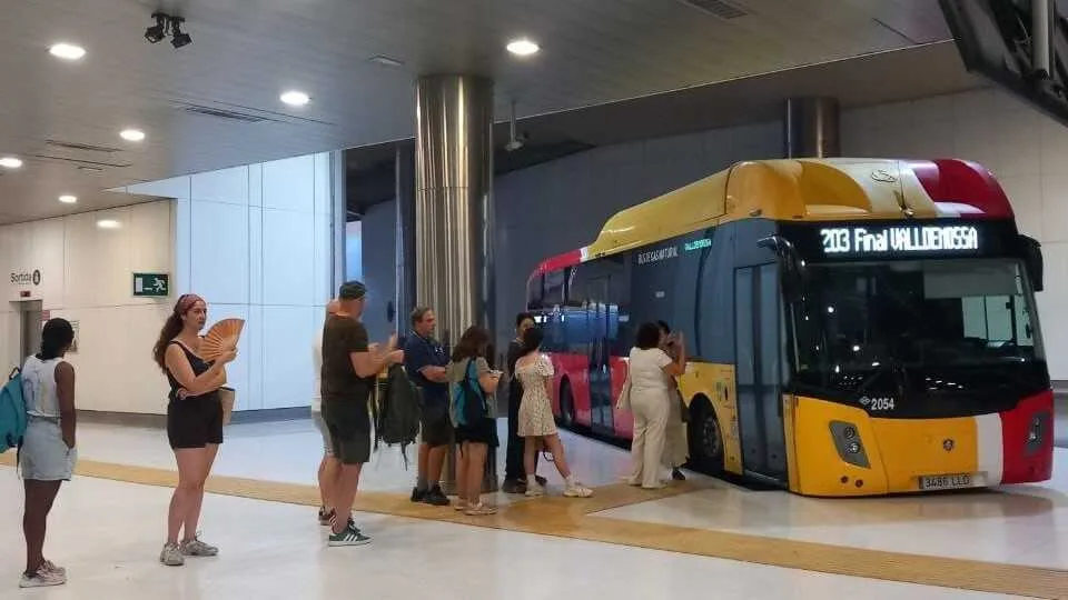 Pasajeros junto a un autobús del TIB de la línea 203 con el rótulo Final Valldemossa