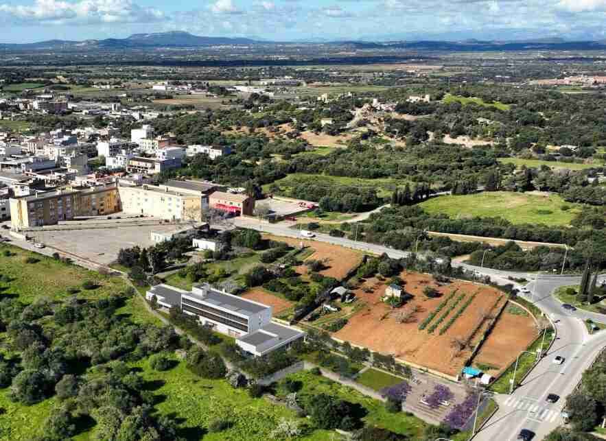 Vista aérea simulada de la parcela y accesos viarios del futuro colegio público de Felanitx
