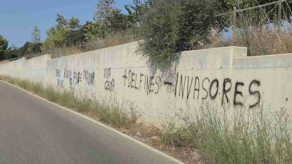 Vista general de las pintadas contra el Gobierno en Son Carrió