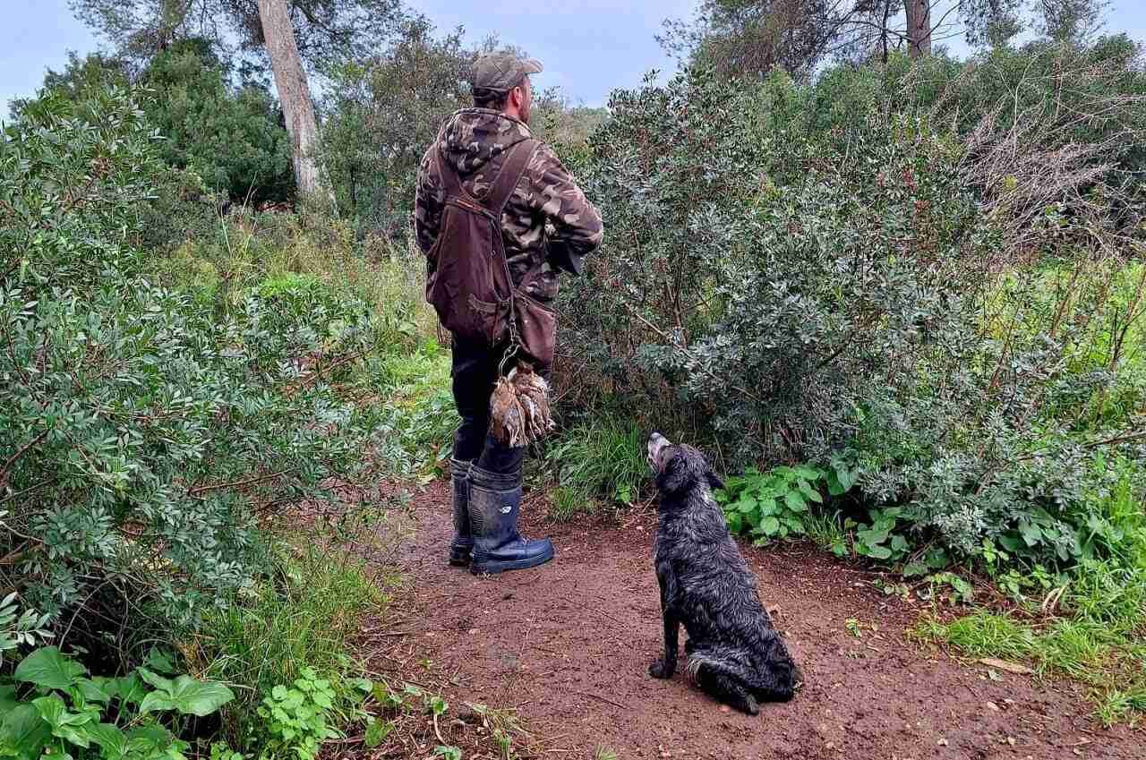 Cazador de espaldas con perro de caza sentado en un sendero de bosque